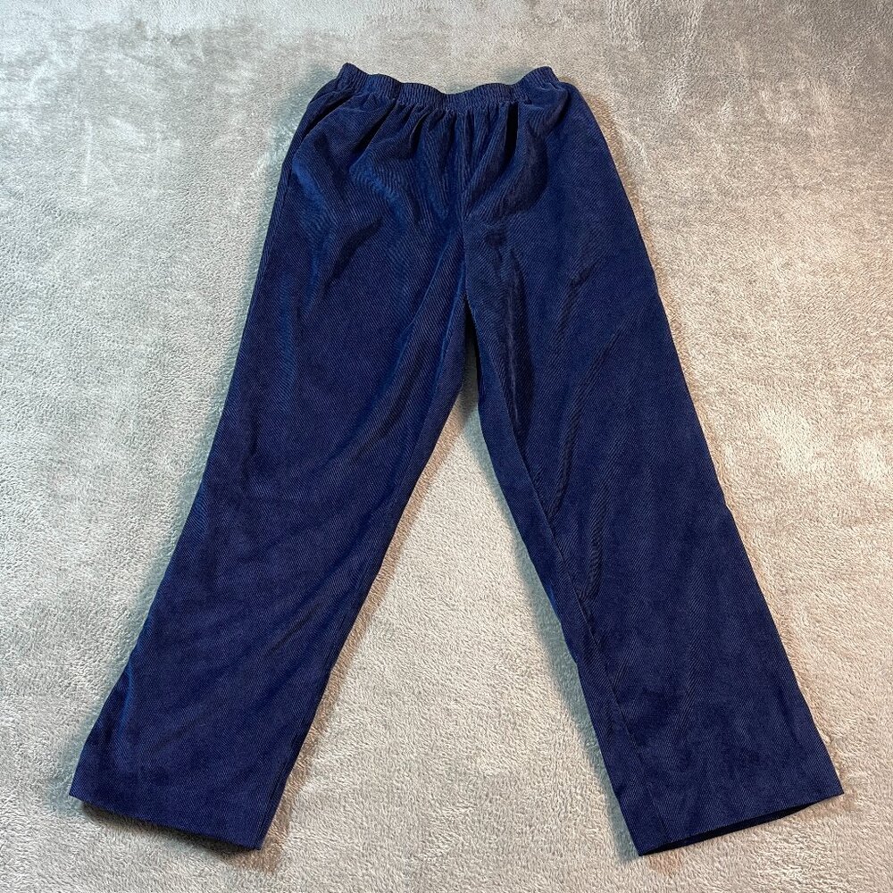 Alfred Dunner Precious Jewels Pants Stretch Blue Pull On 10 Straight Outdoorsy